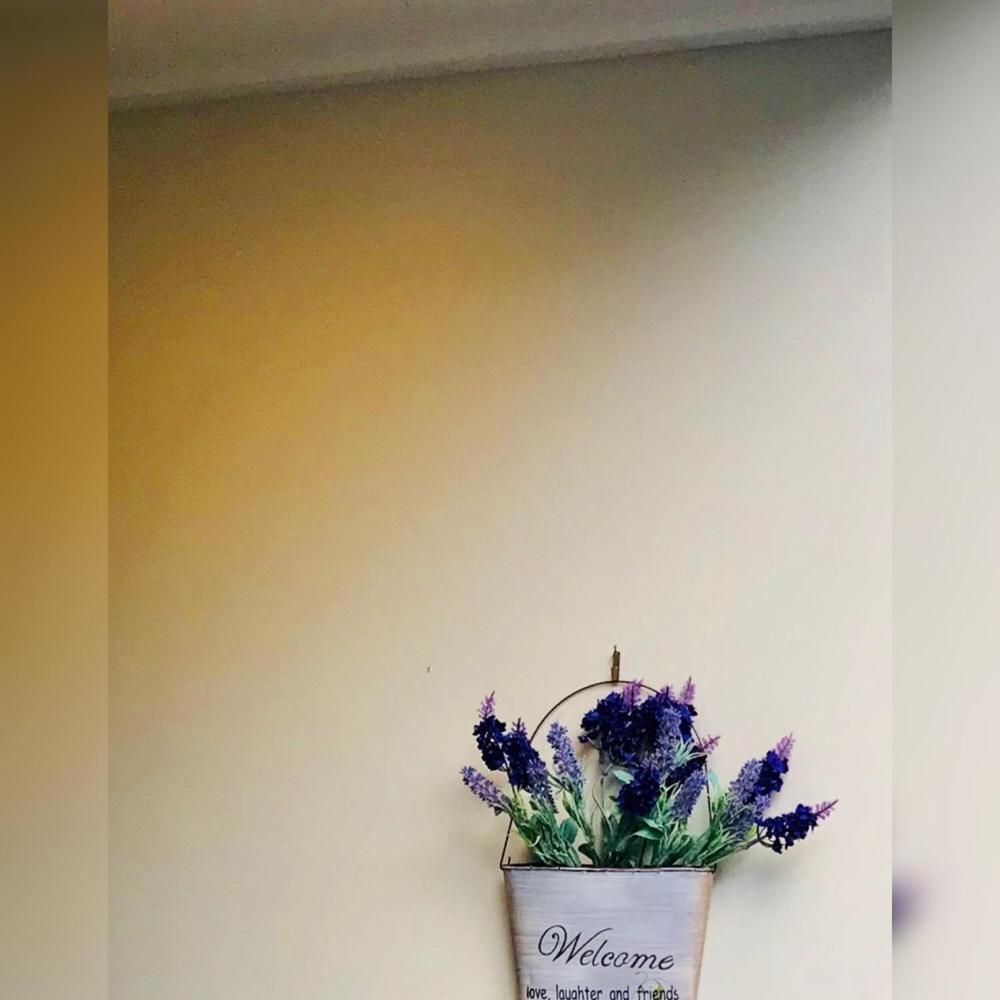 Wendy'S Villa Auckland Ngoại thất bức ảnh